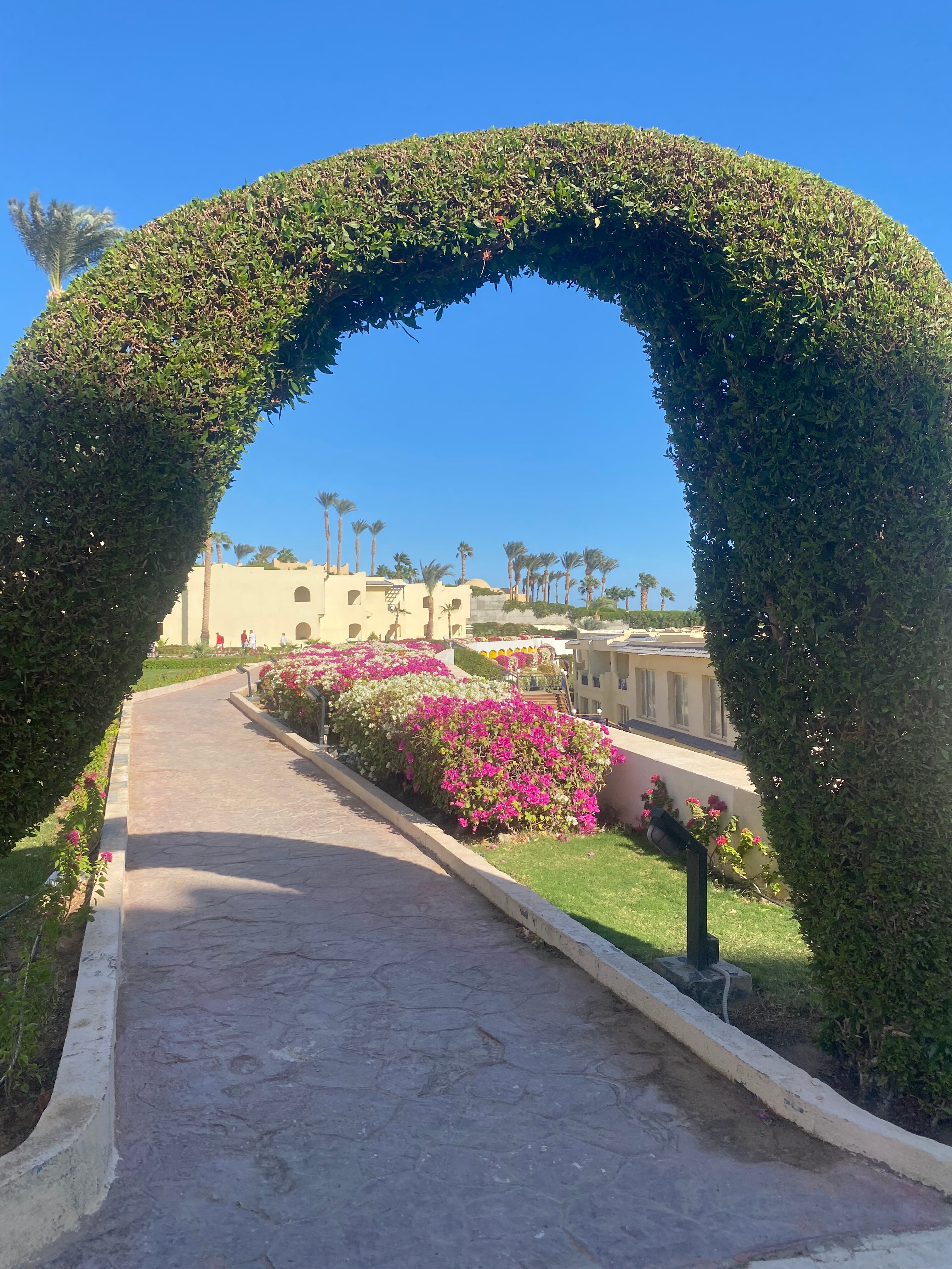 Фото Grand Oasis Resort