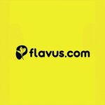 Flavus Electronic Trade and Information Services (İstanbul, Ümraniye, Fatih Sultan Mehmet Mah., Balkan Cad., 56B), information website