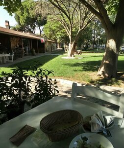 Petek Cop Sis (İzmir, Selçuk, Atatürk Cad., 170N), cafetería
