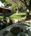 Petek Cop Sis (İzmir, Selçuk, Atatürk Cad., 170N) ، مقهى