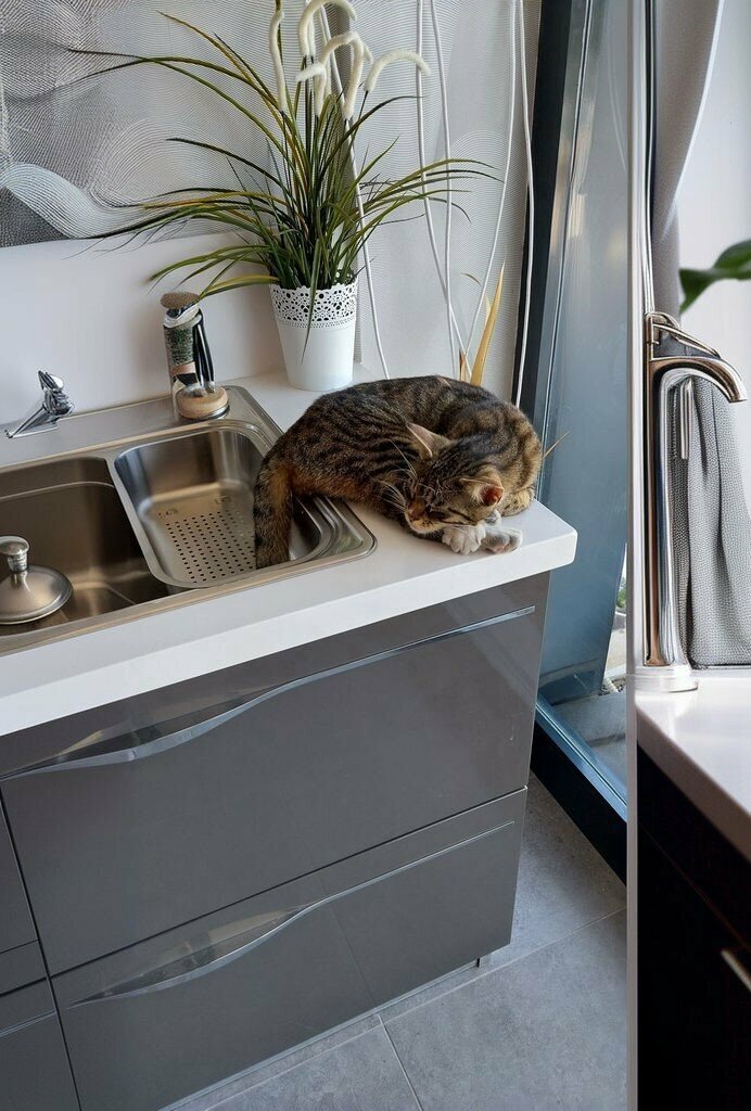 Kitchen furniture Mopa Mutfak Banyo, Cesme, photo