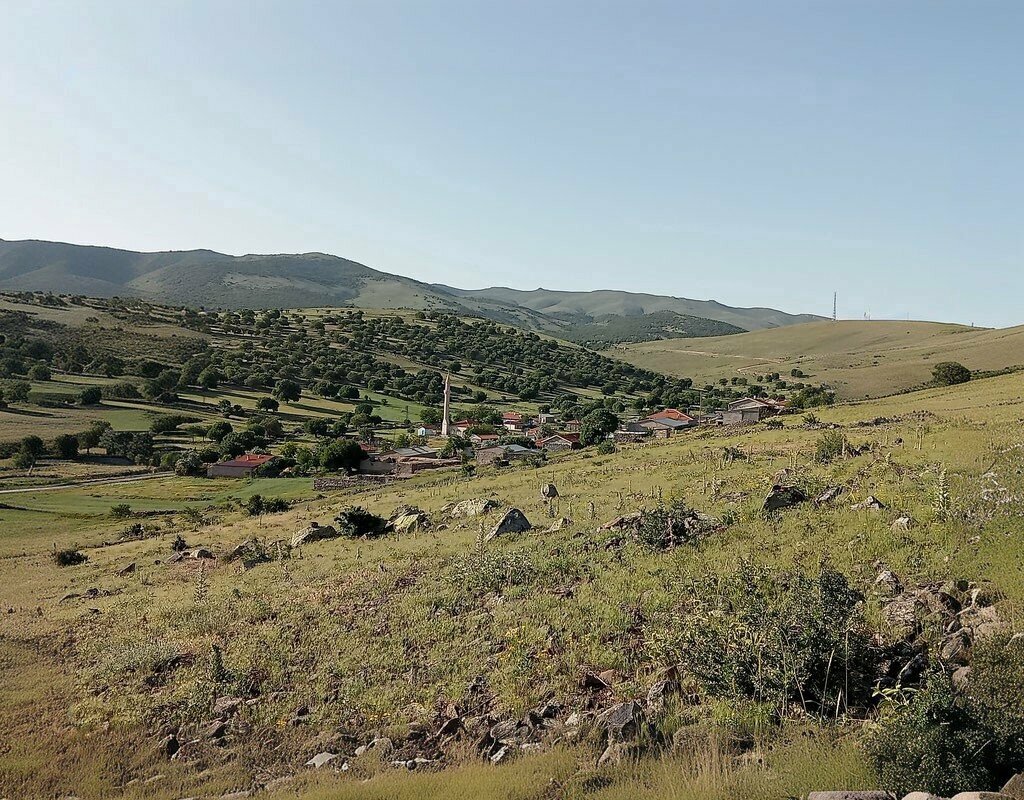 Mukhtars Meseli Koyu Muhtarligi, Emirgazi, photo