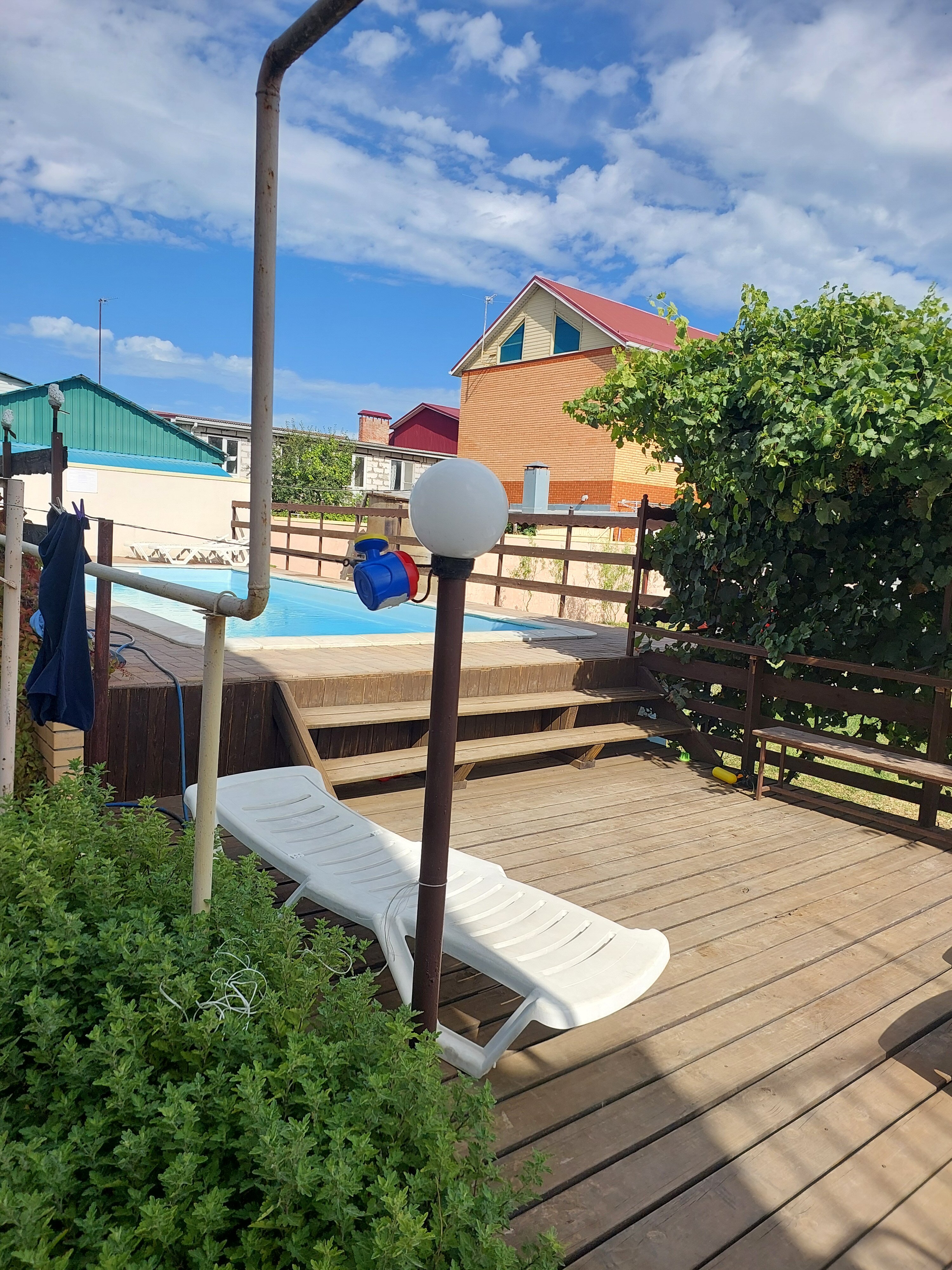 Фото Янтарная гроздь