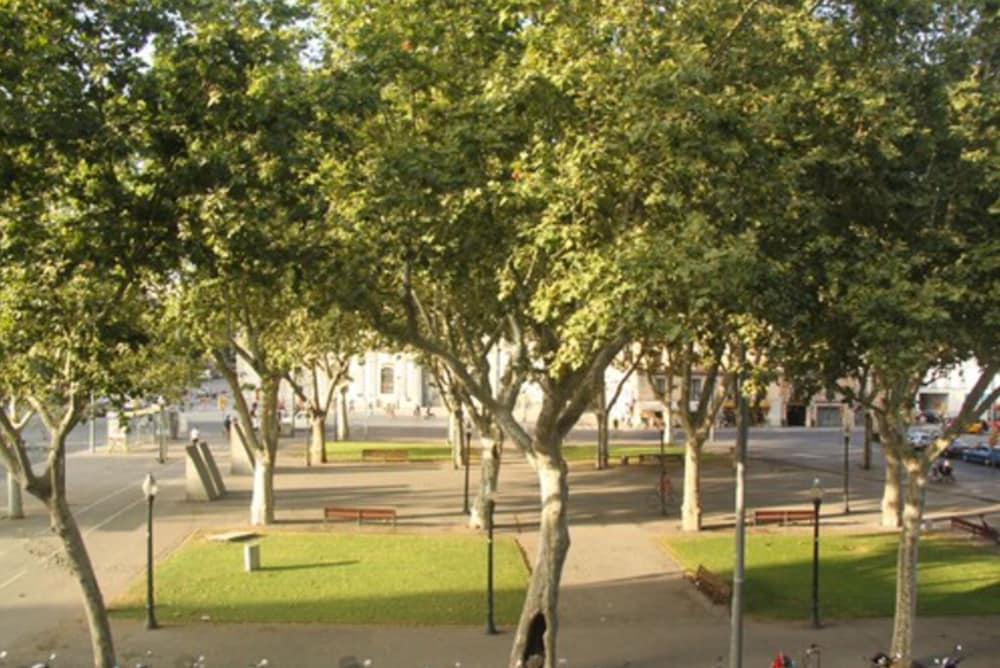 Фото Som Nit Born