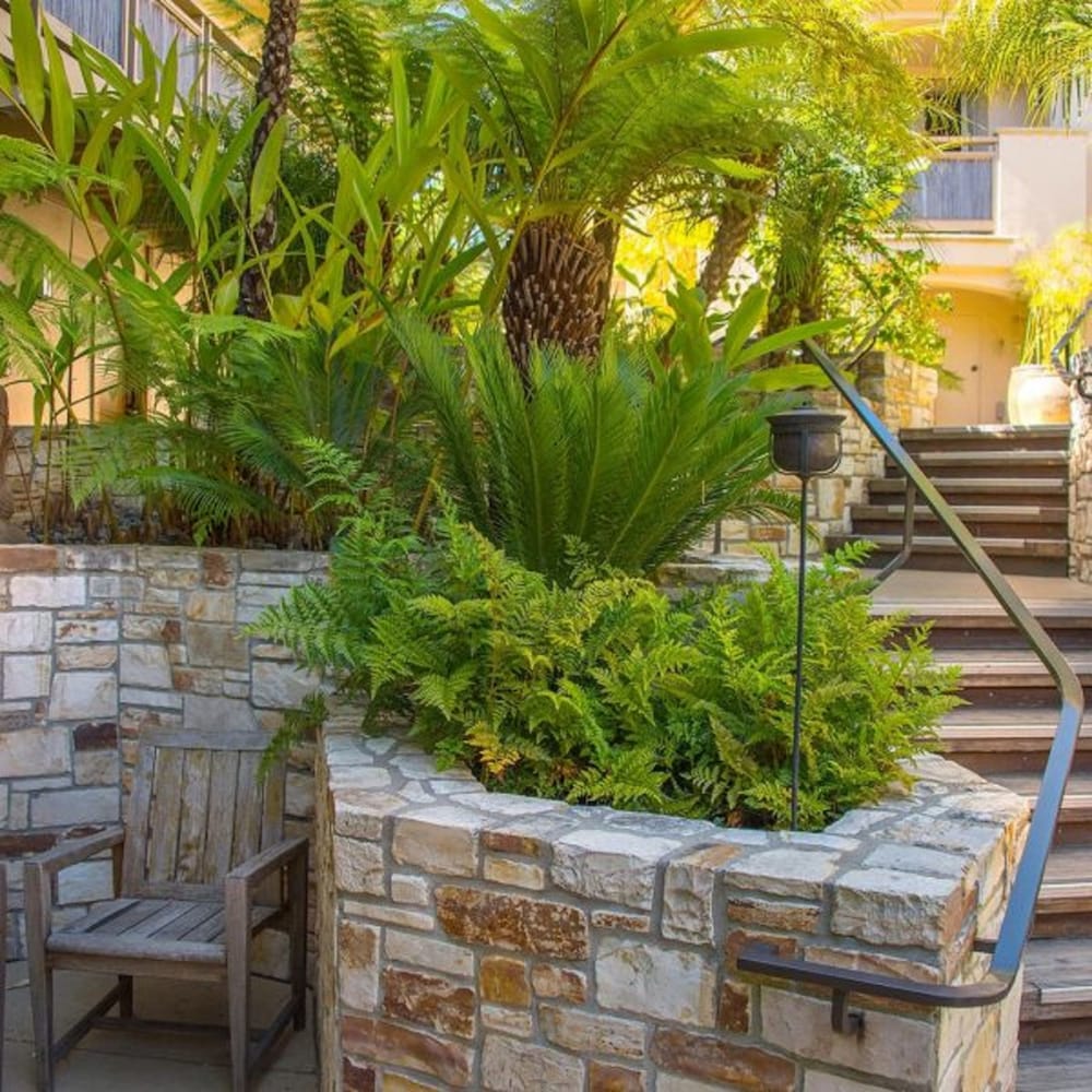 Фото Tradewinds Carmel