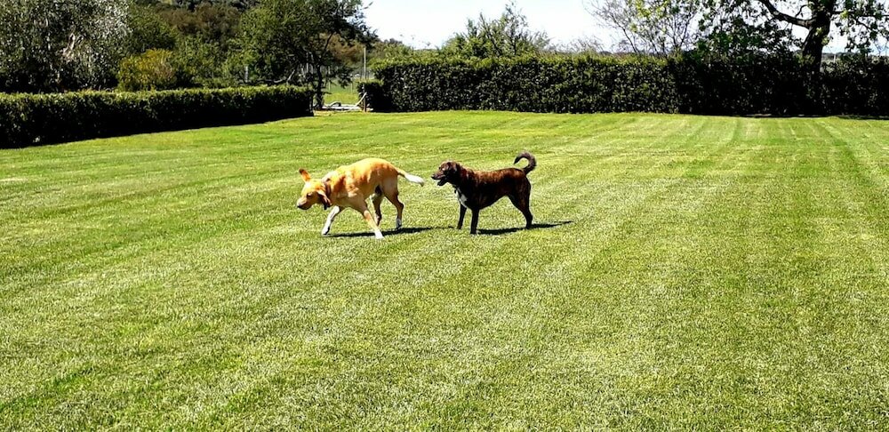 Фото Agriturismo Monte Argentario