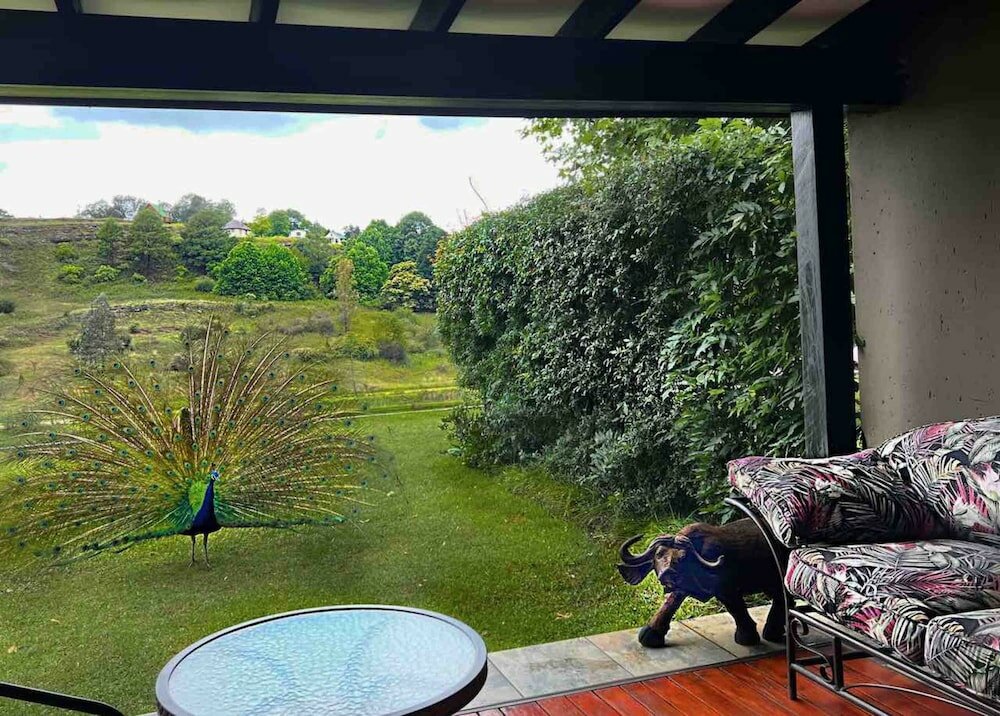 Фото Malachite Manor