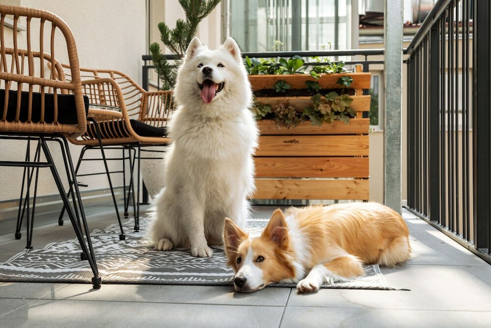 Фото Hotel Praterstern