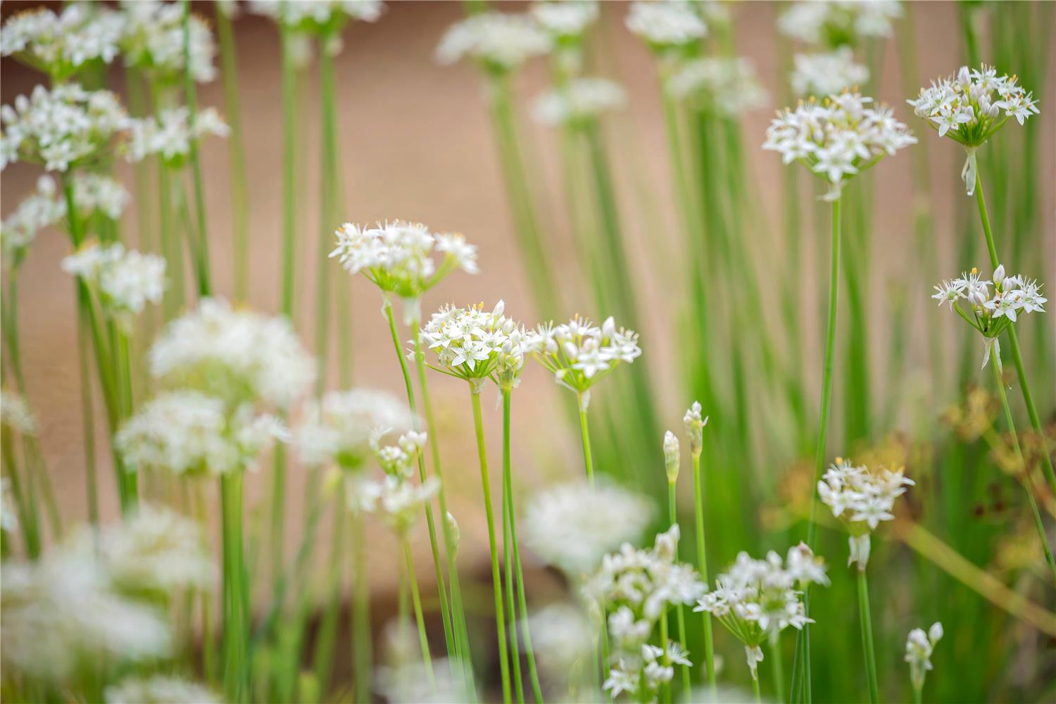 Фото Best Western Hotel Hillerod