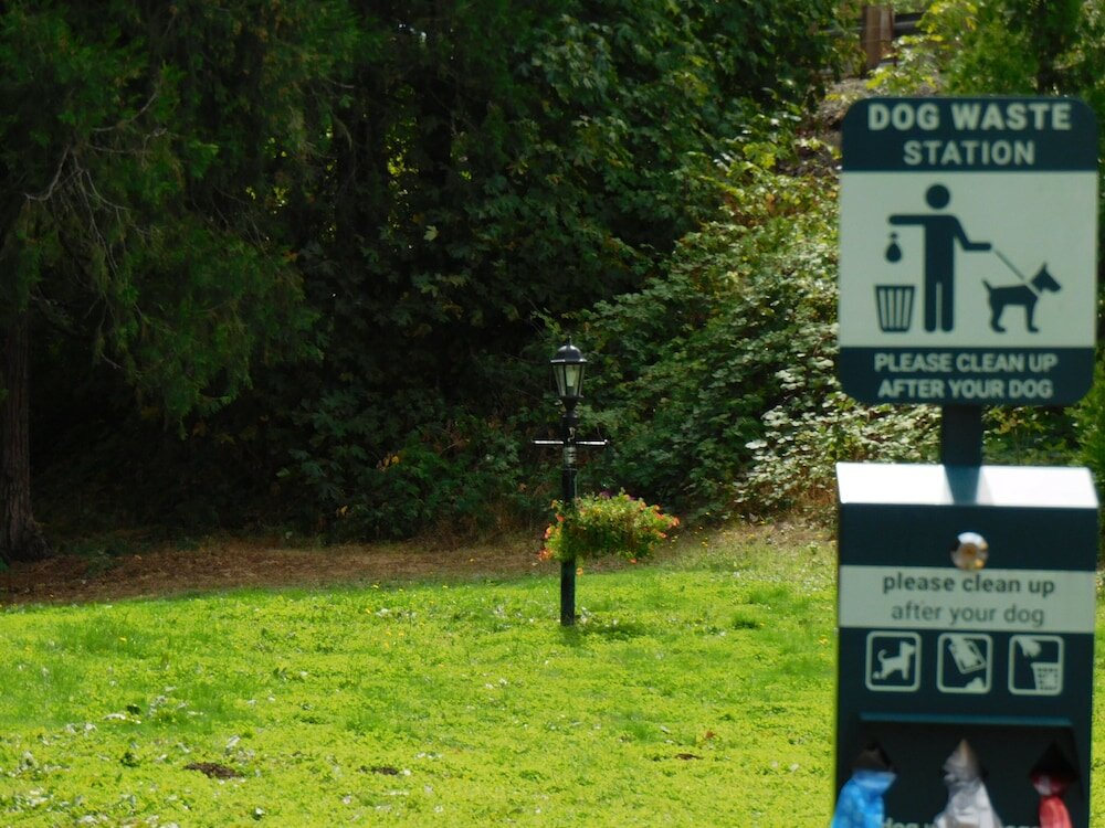 Фото Travelodge by Wyndham Canyonville