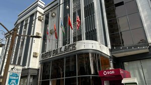 Гостиница Ohu Palace Hotel