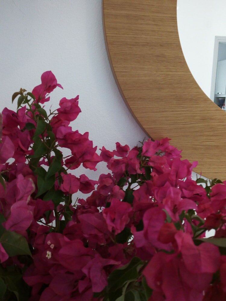 Фото Despina's Mare