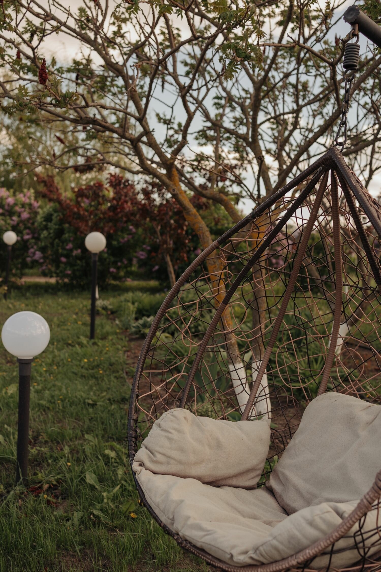 Фото Курский соловей