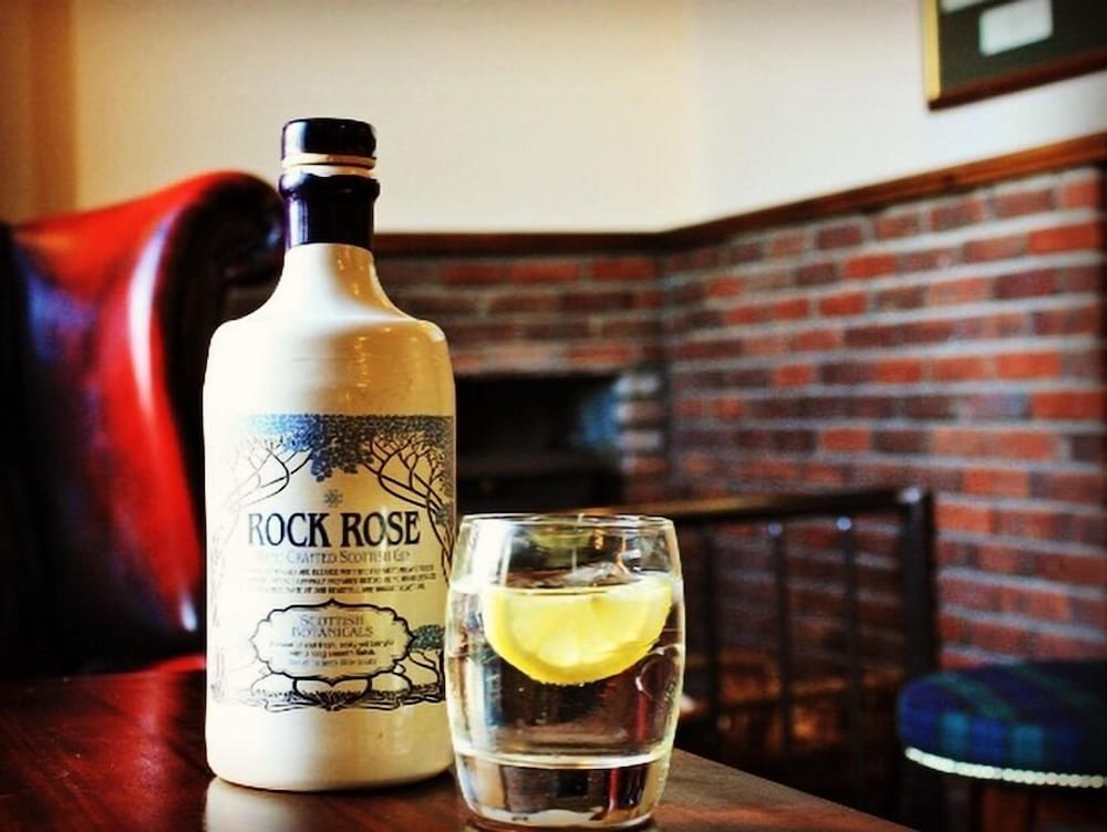 Фото Saplinbrae Hotel and Lodges