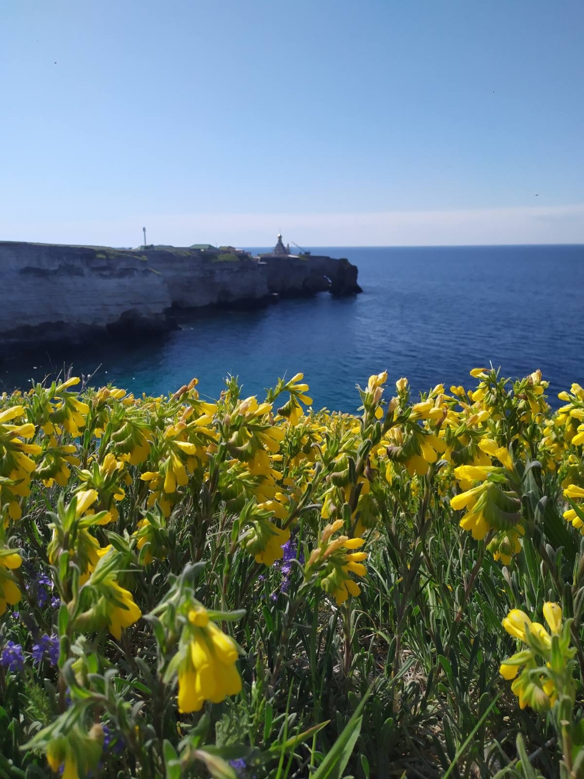Фото Гостевой дом Прекрасная гавань