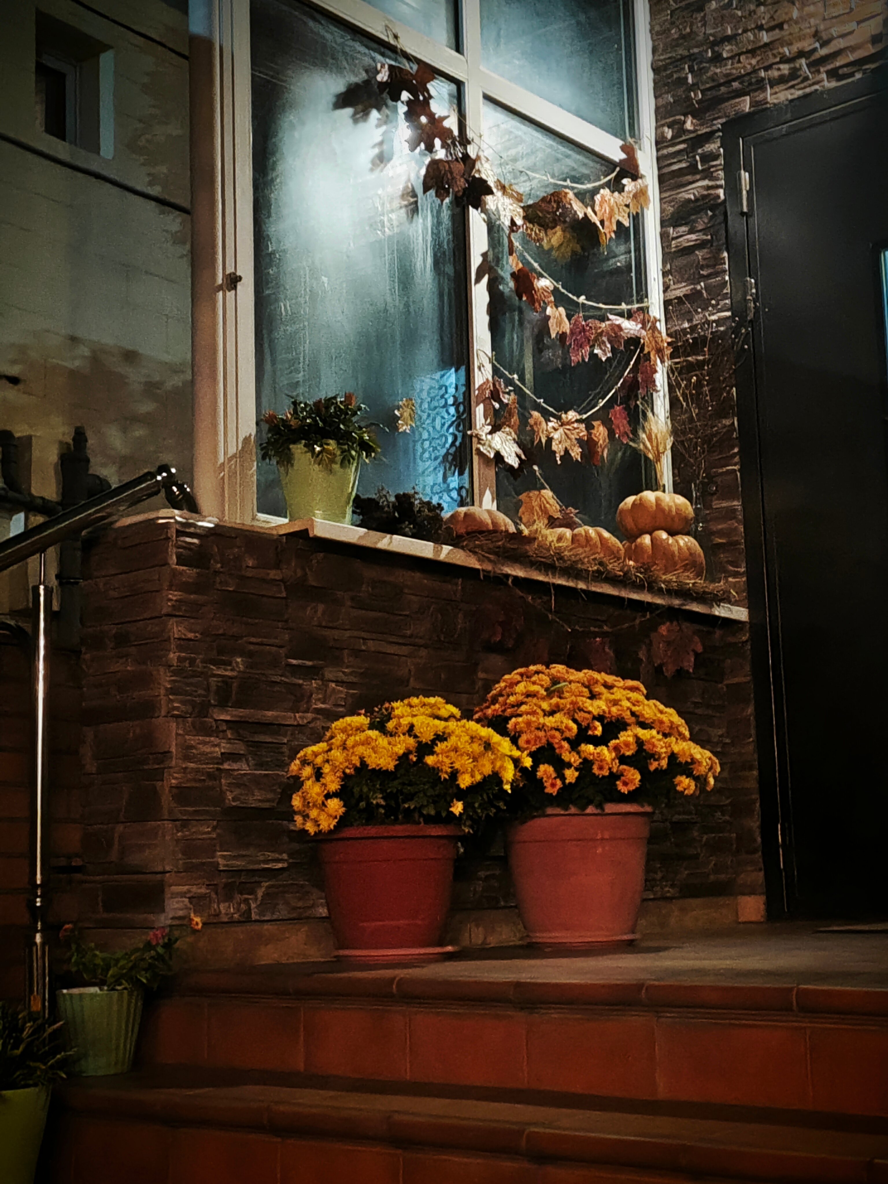 Фото Гостевой дом Ежевика