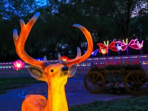 Гостиница Shangri-La Harbin
