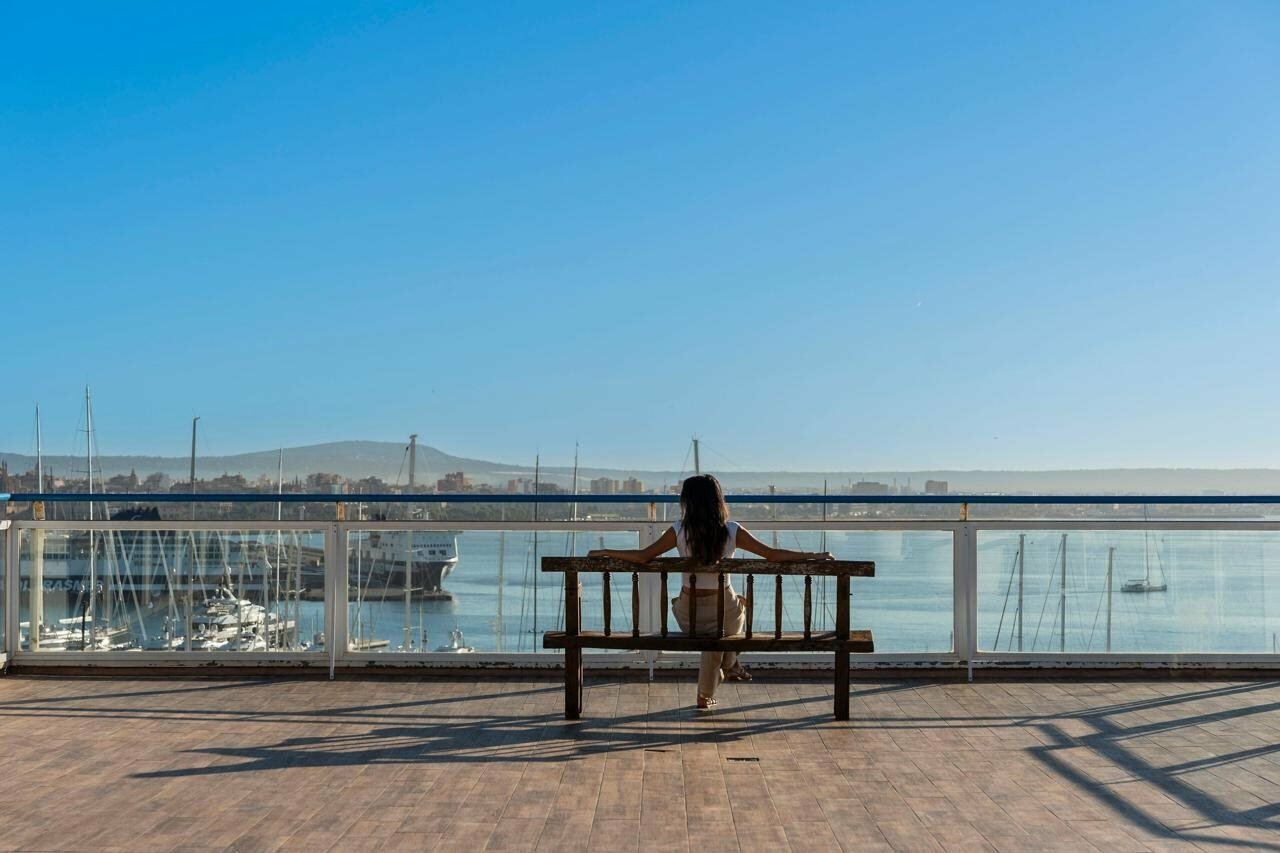 Фото Hotel Amic Horizonte