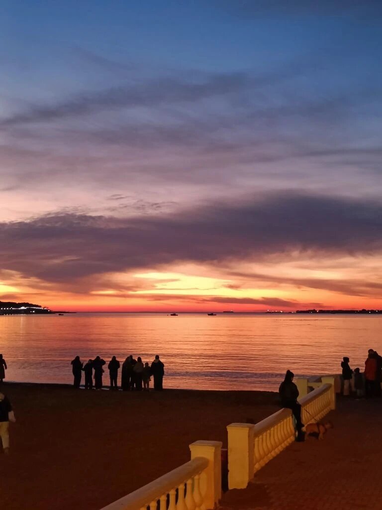 Фото Фаворит