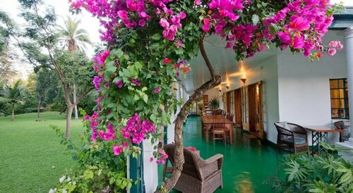 Гостиница York Lodge в Хараре