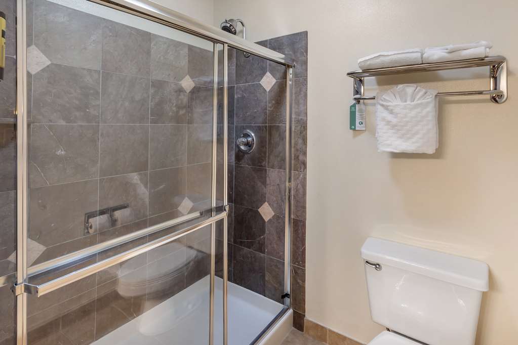 Фото Best Western Plus Orchid Hotel & Suites