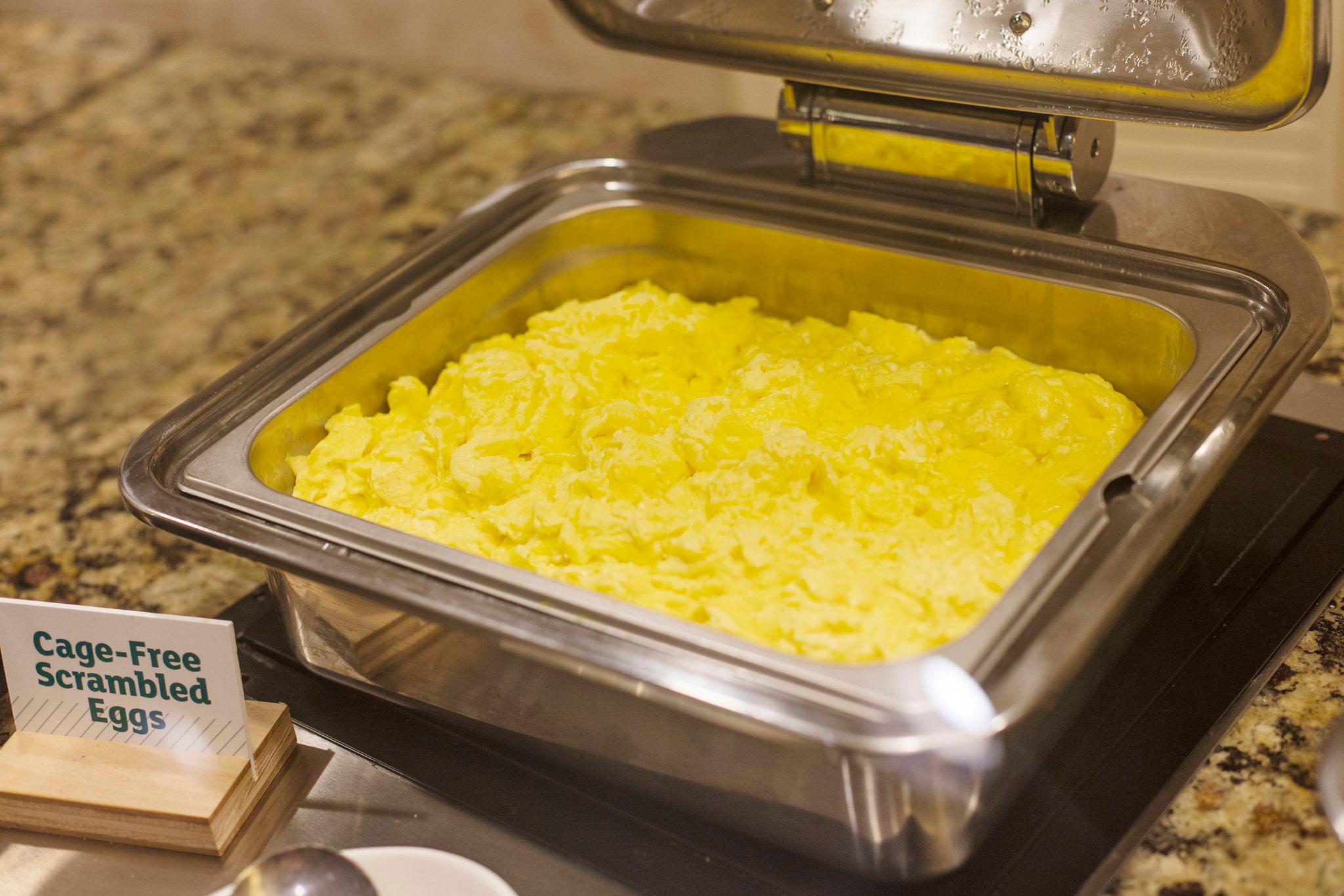 Фото Holiday Inn Austin Midtown, an Ihg Hotel