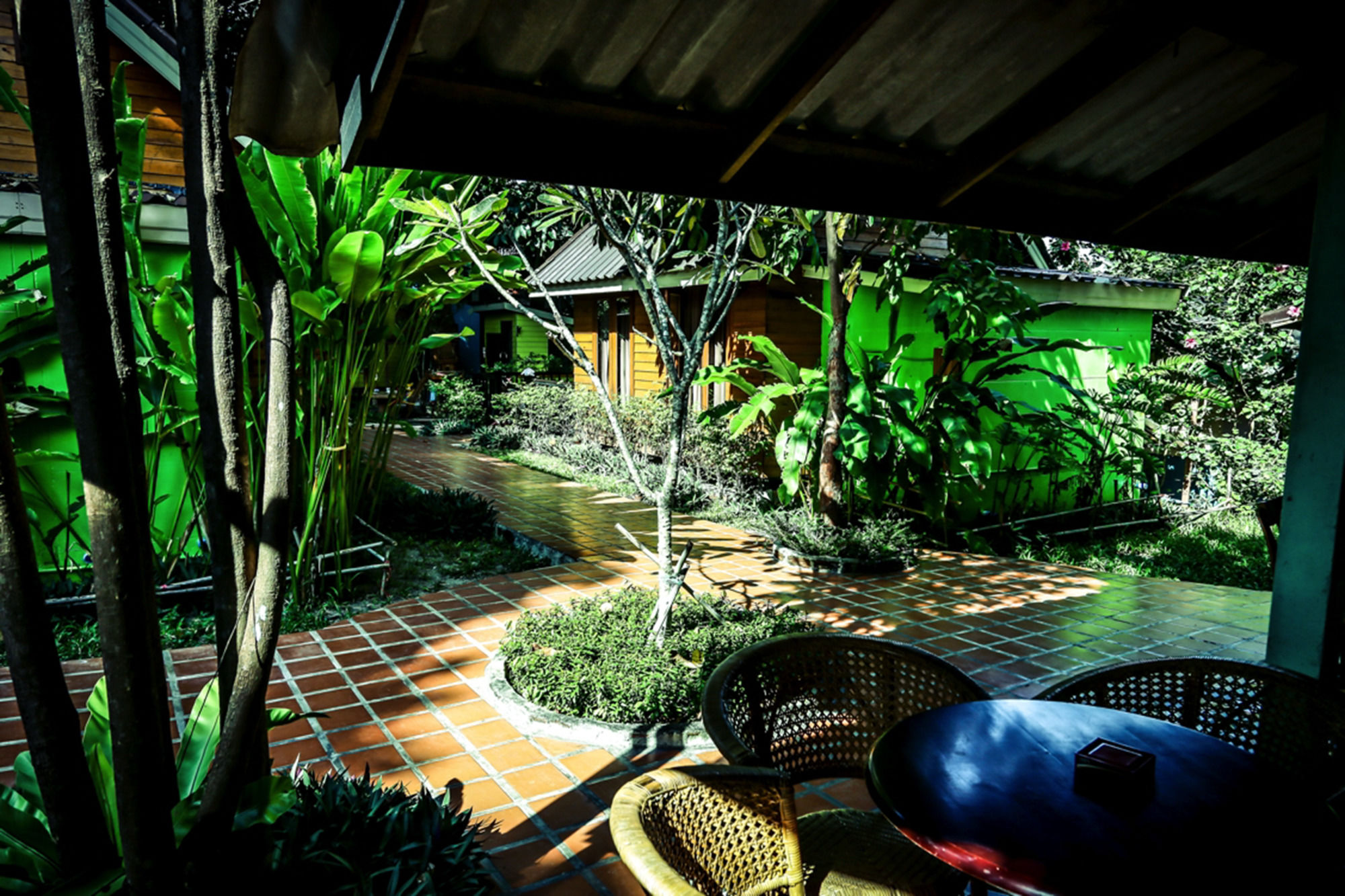 Фото Poohbar Resort & Lotusdive