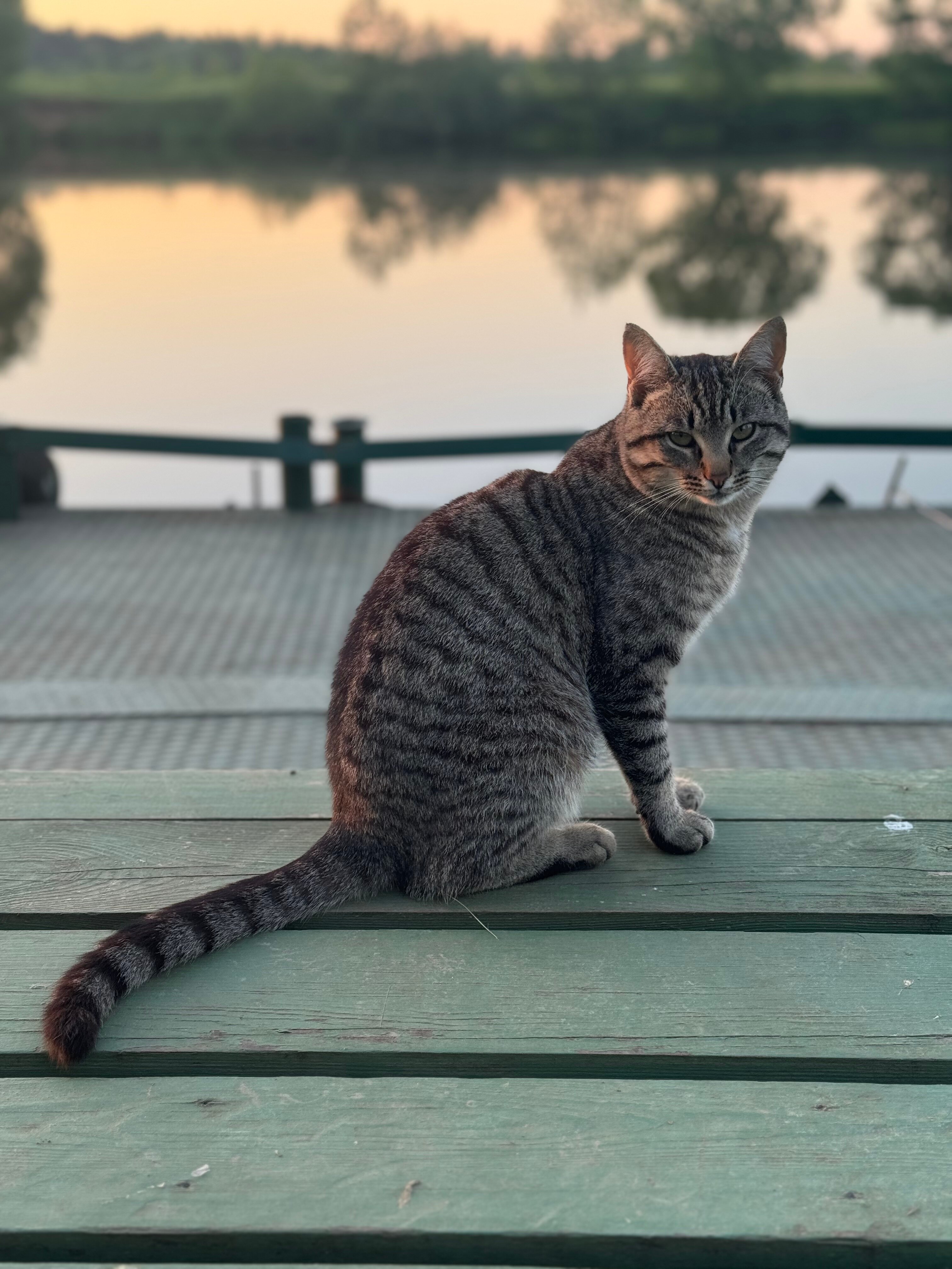 Фото Прибрежный