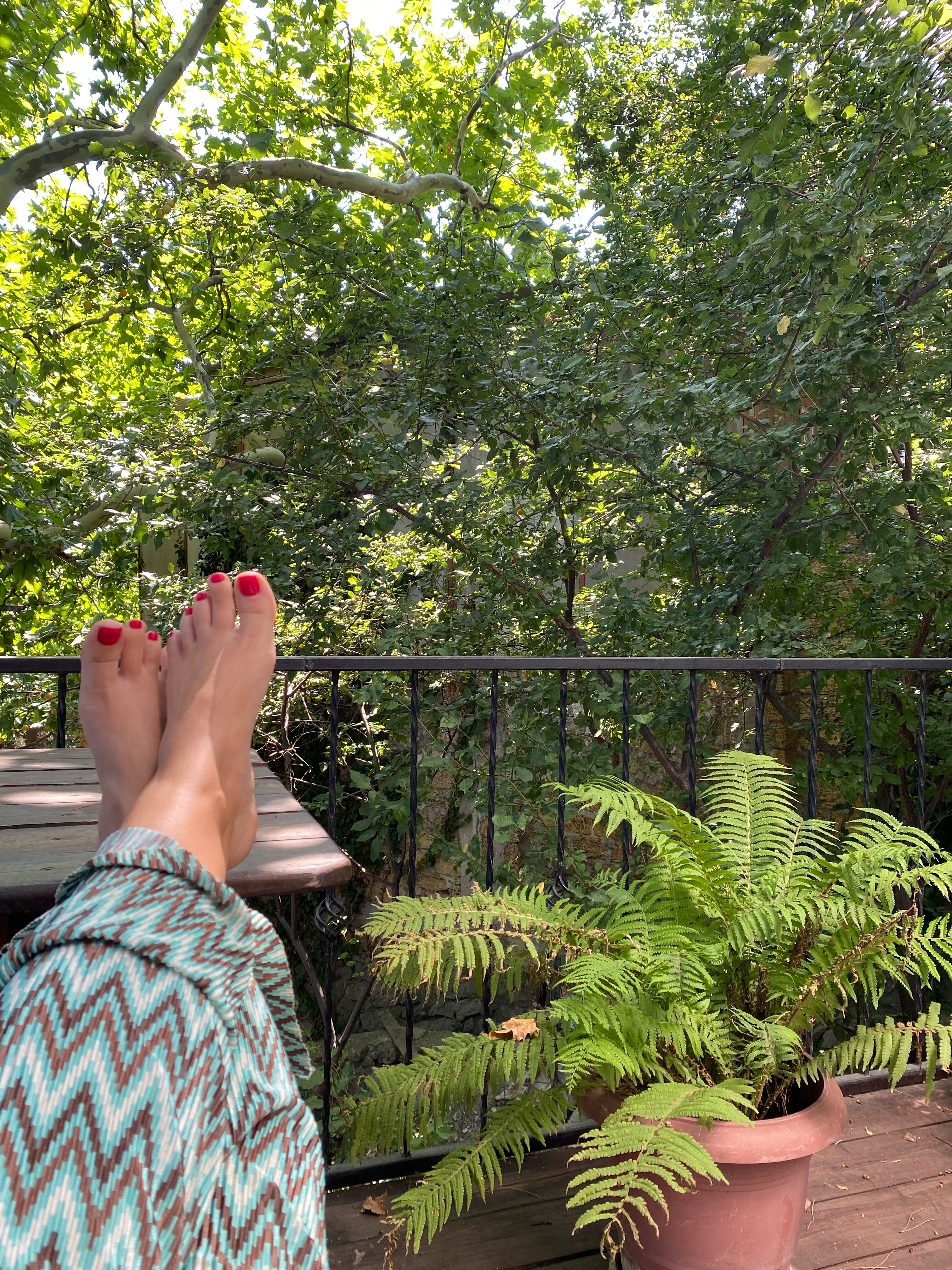 Фото Соверен