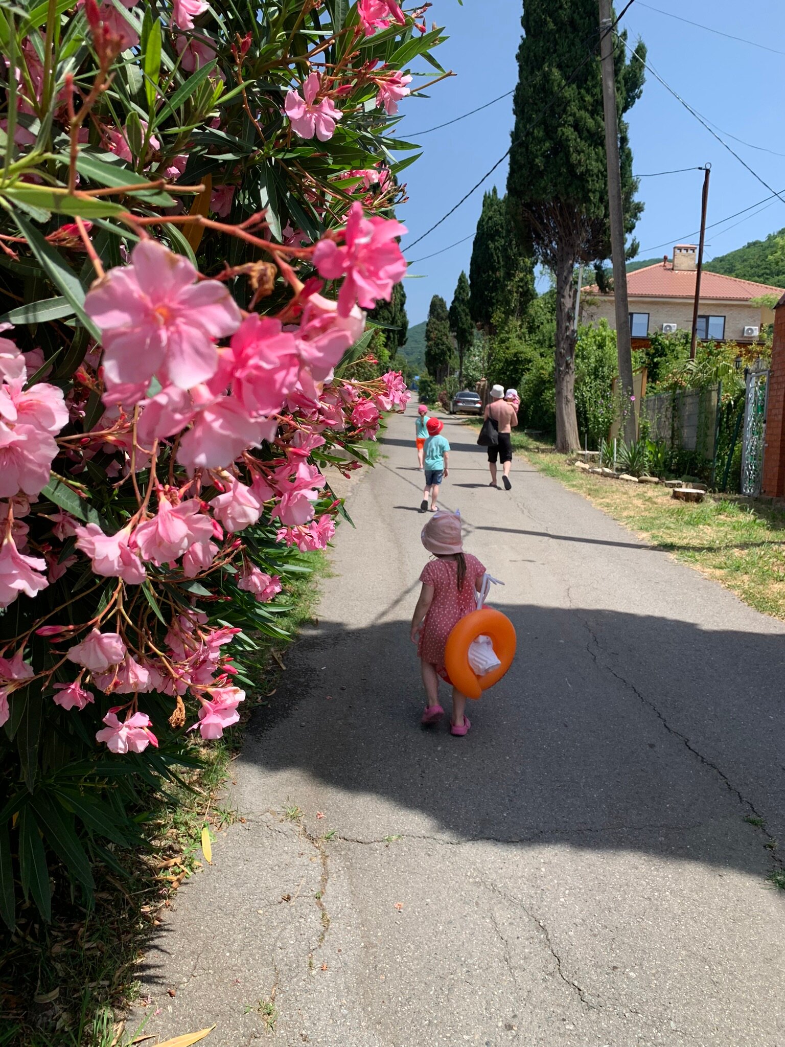 Фото Апартаменты Кипарисовая аллея