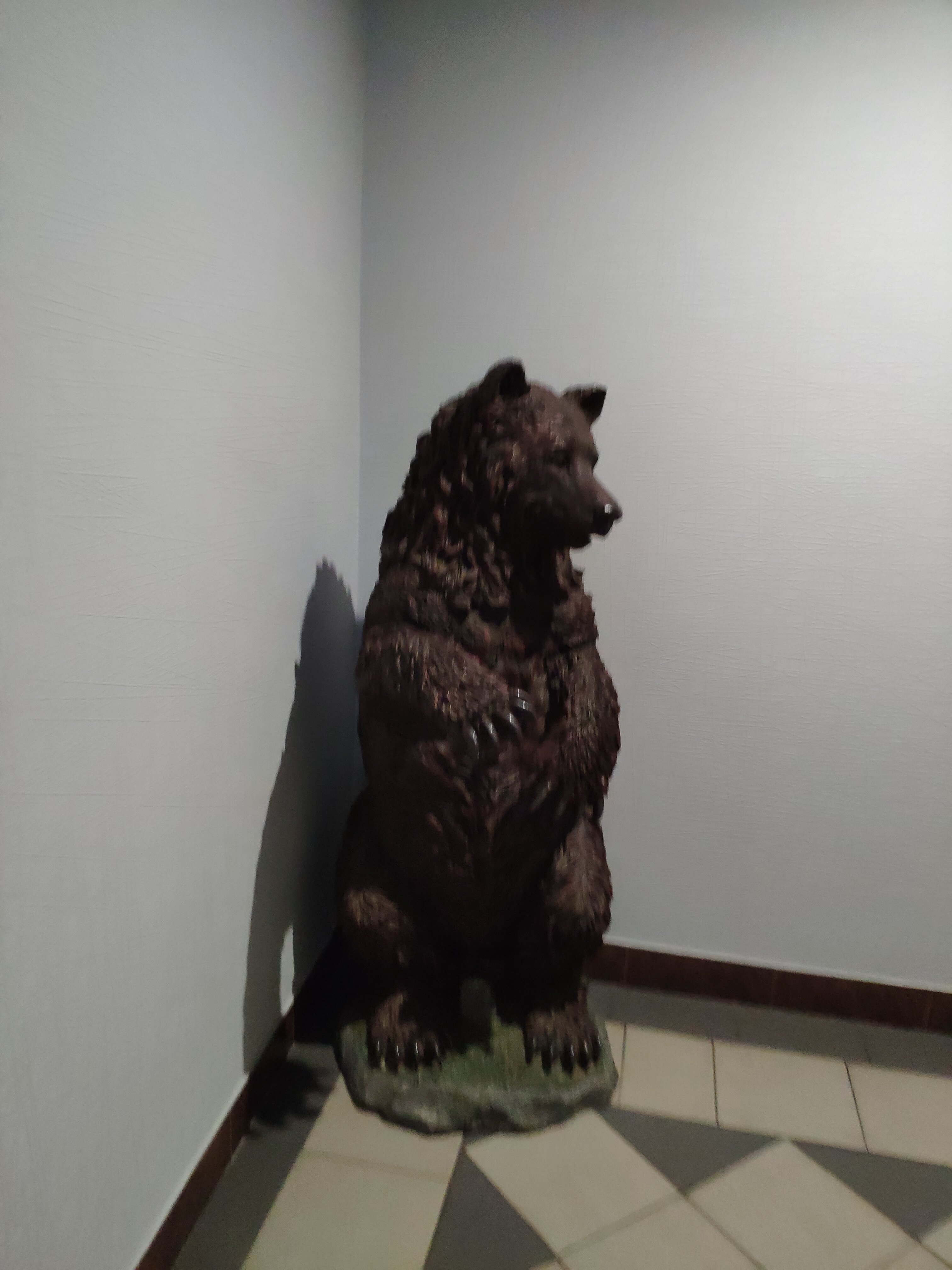 Фото Villa Forrest