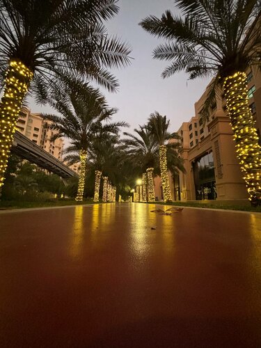 Внешний вид отеля Adagio Premium The Palm в Пальме Джумейре, фото 4