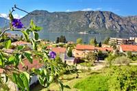 Фото Apartments Soso