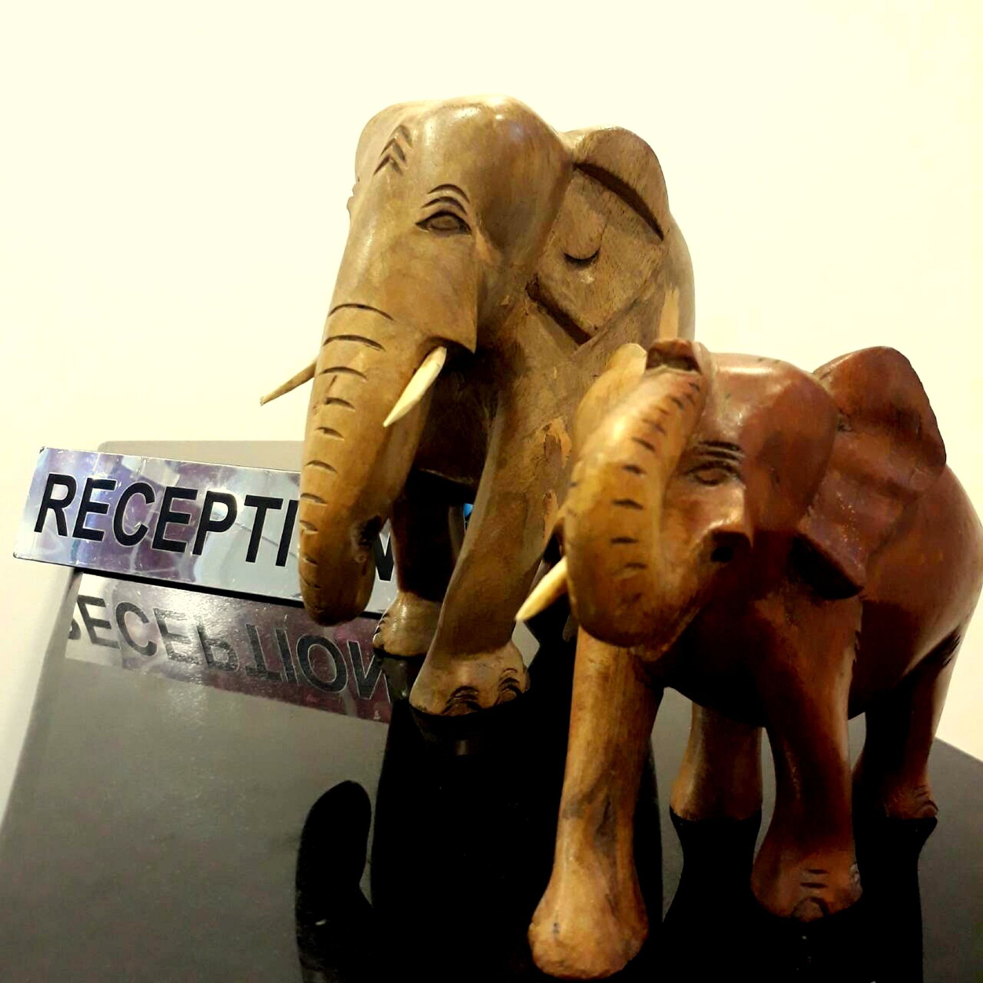 Фото Kandy City Stay