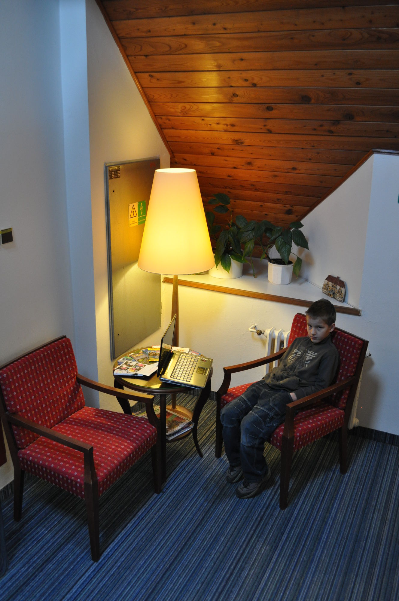 Фото Hotel Svornost