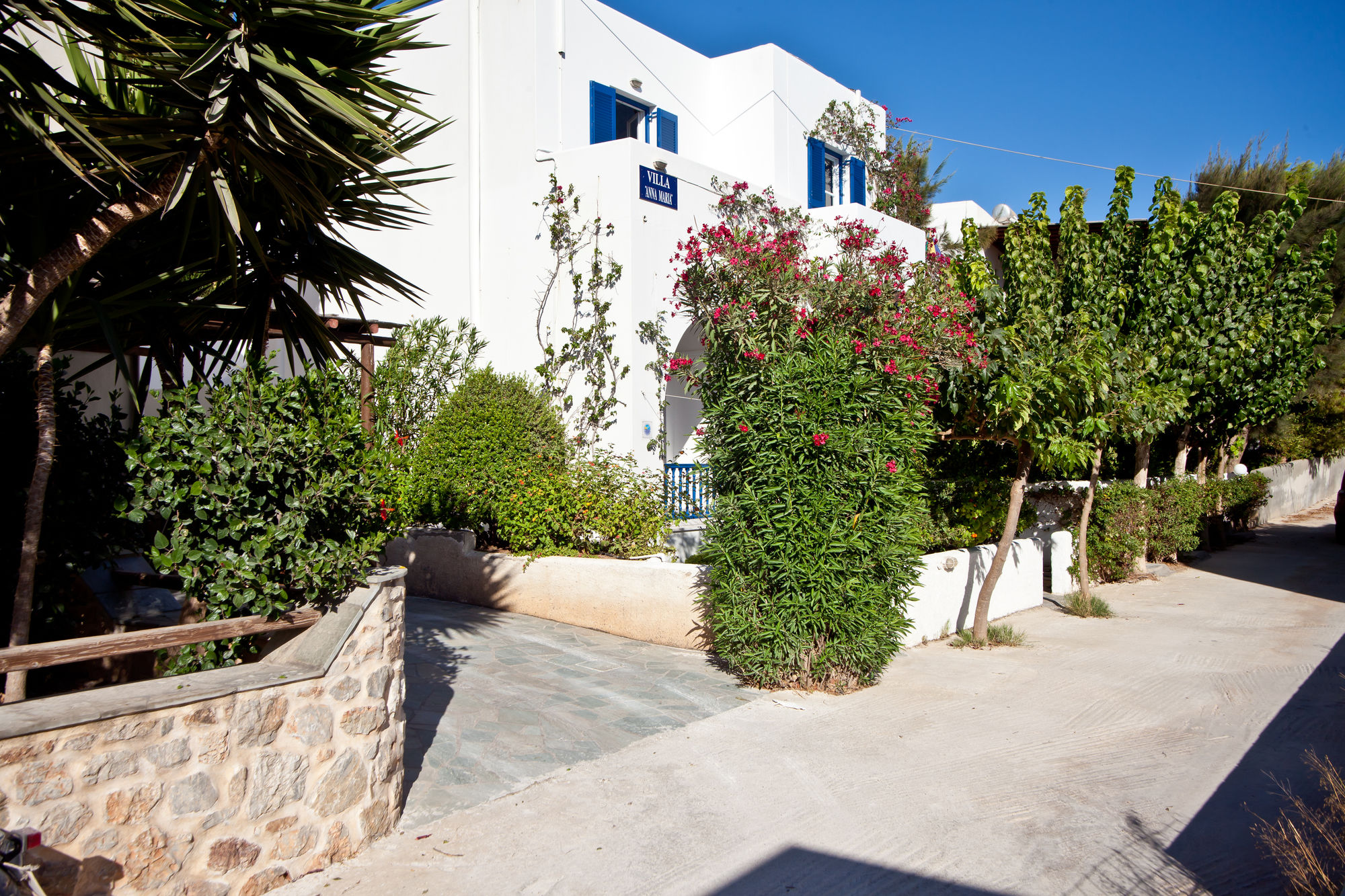 Фото Villa Anna Maria