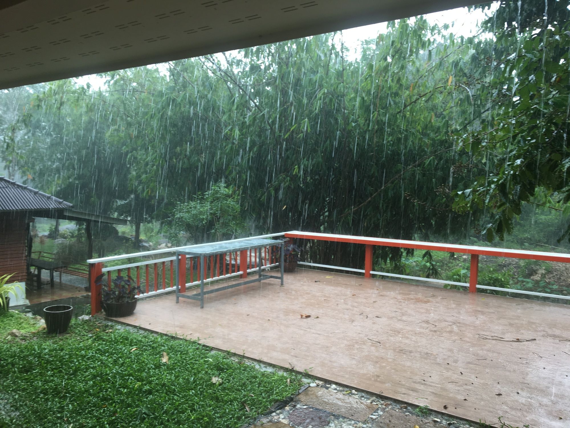 Фото Lundaresort & Orchid