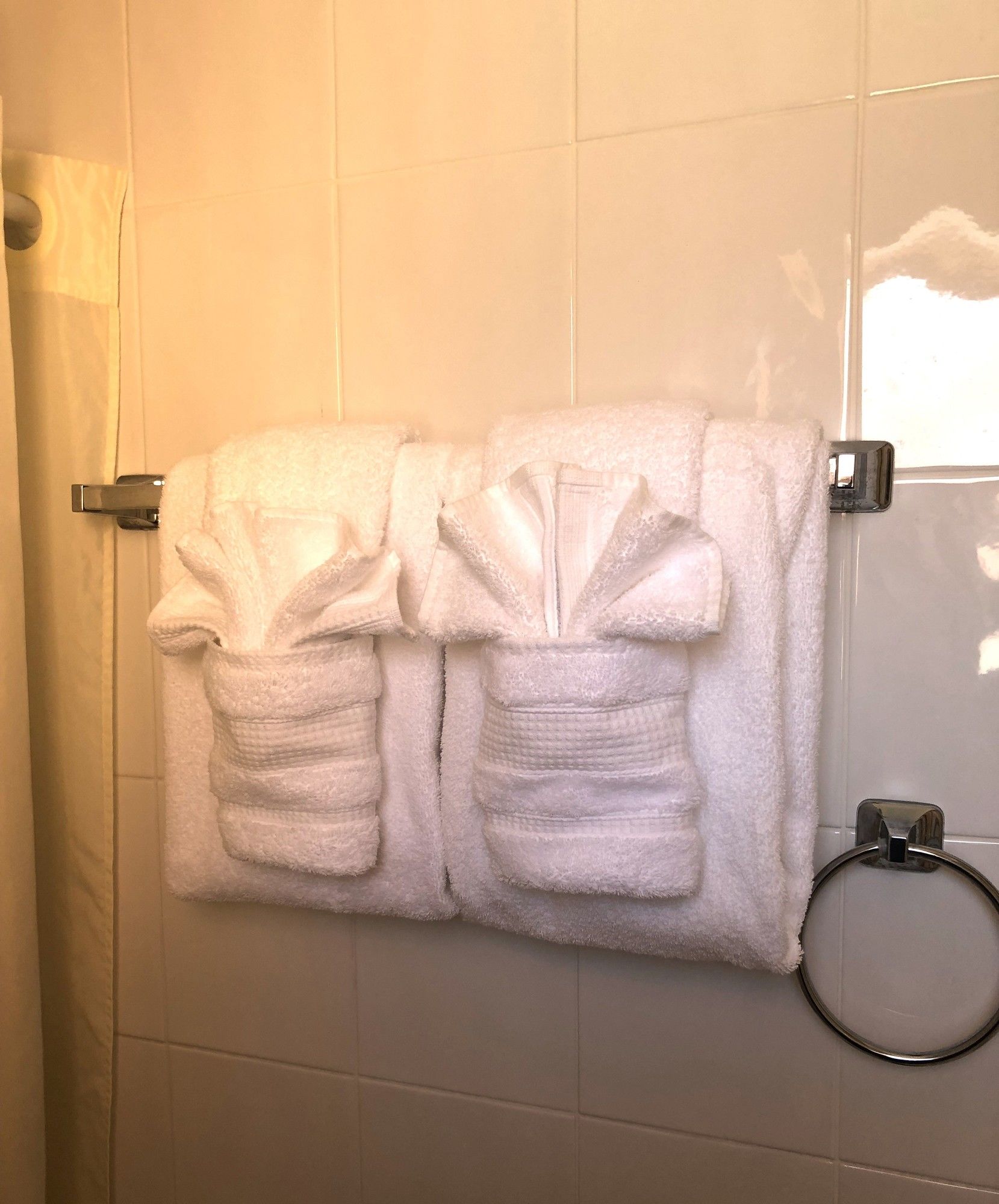 Фото Hollywood Beach Swan