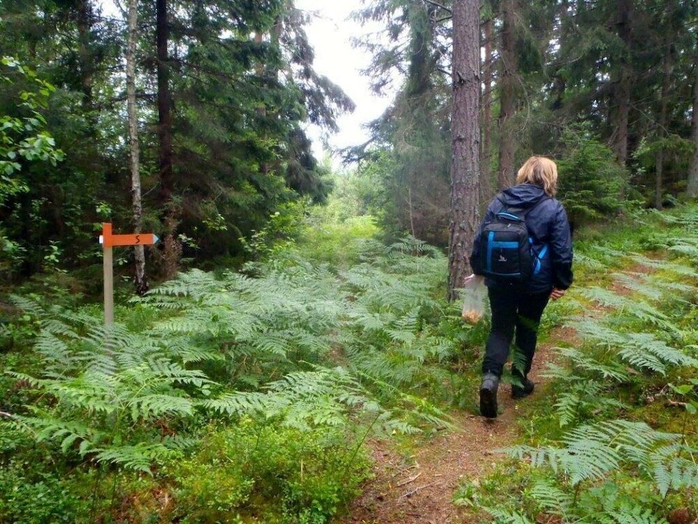 Фото Sure Hotel by Best Western Vilsta Sporthotell