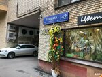 Einstein-Plushiha (Pluschikha Street, 42), phone repair