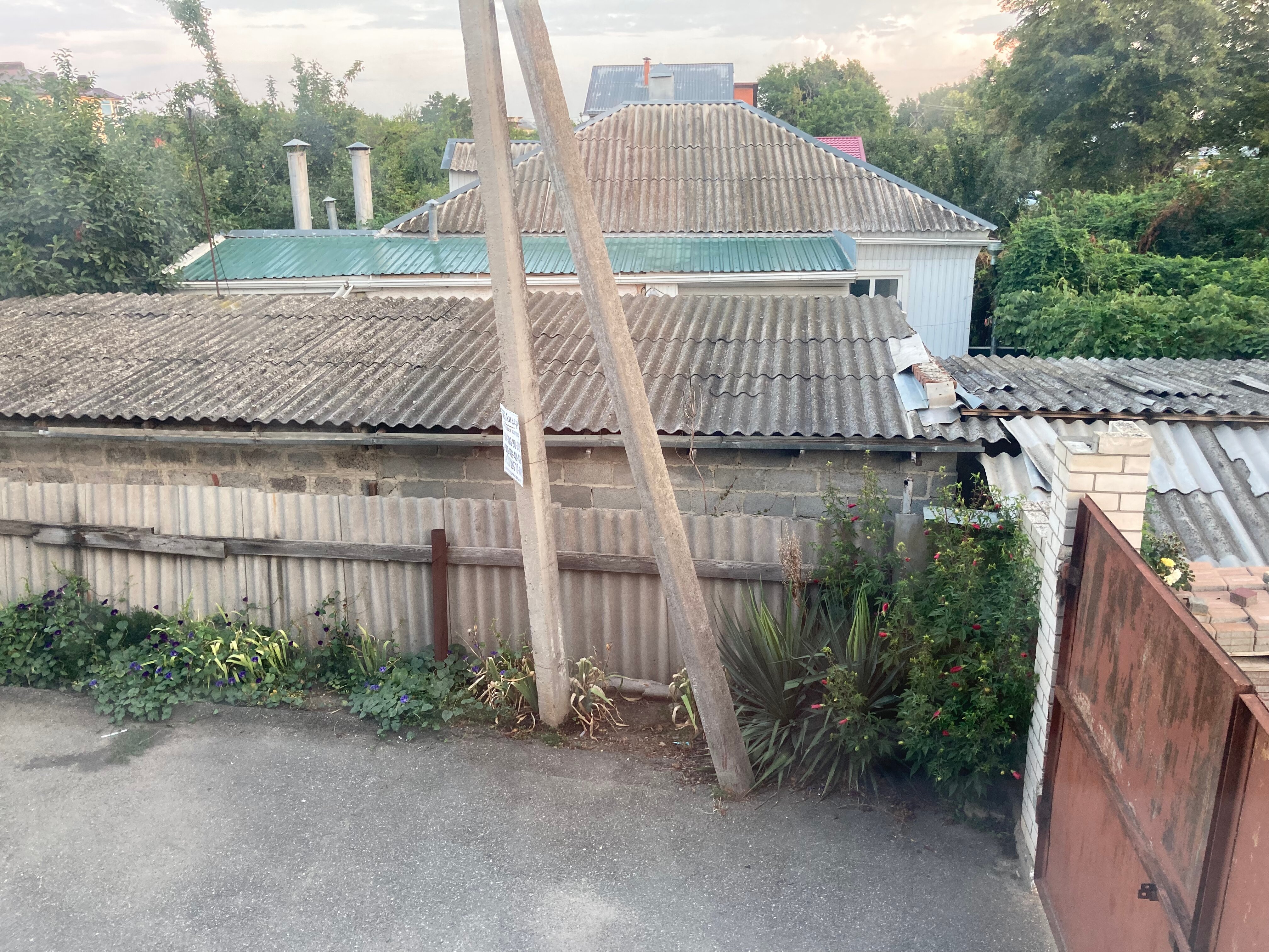 Фото Берёзка