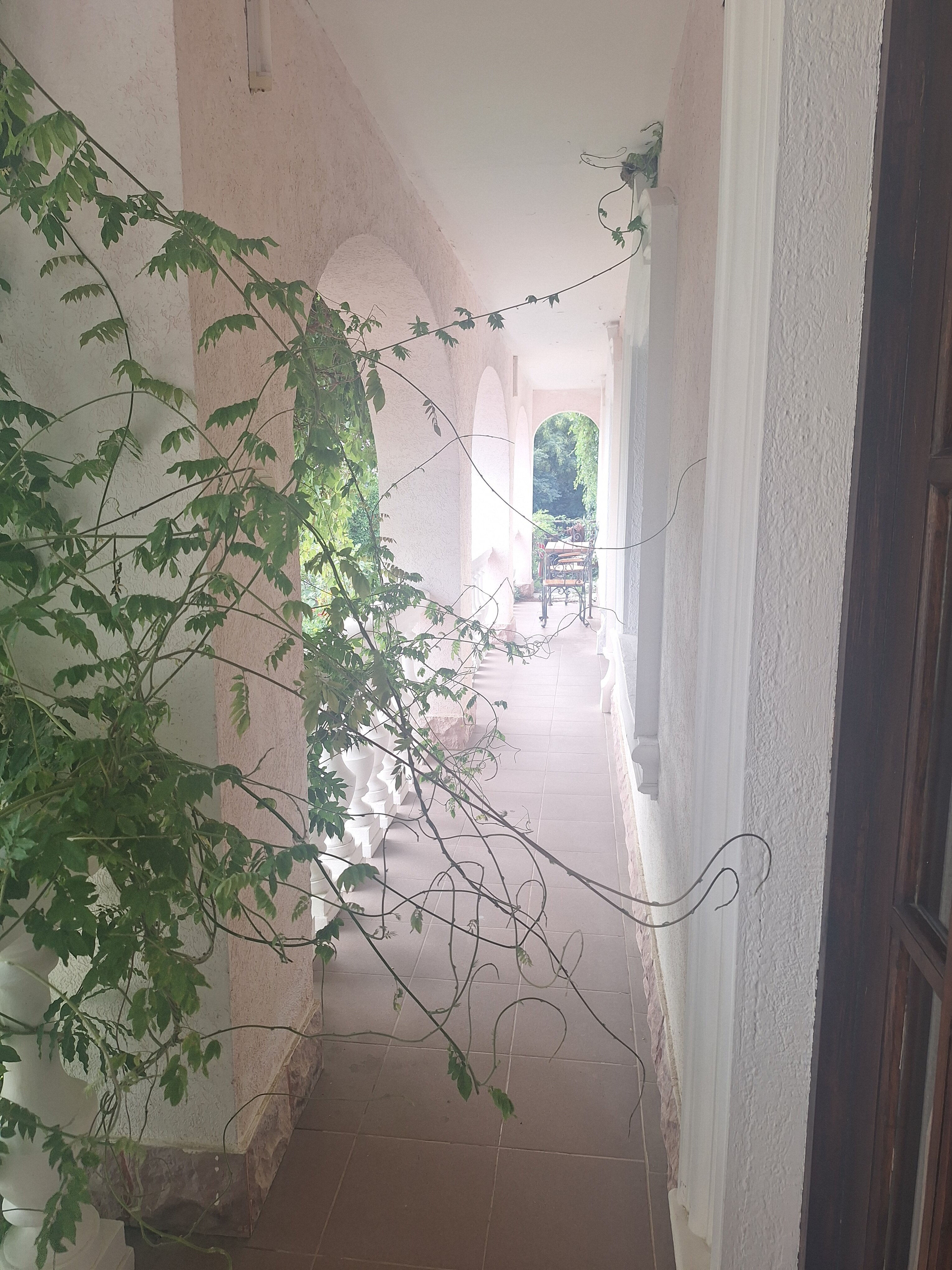 Фото Испанский дворик