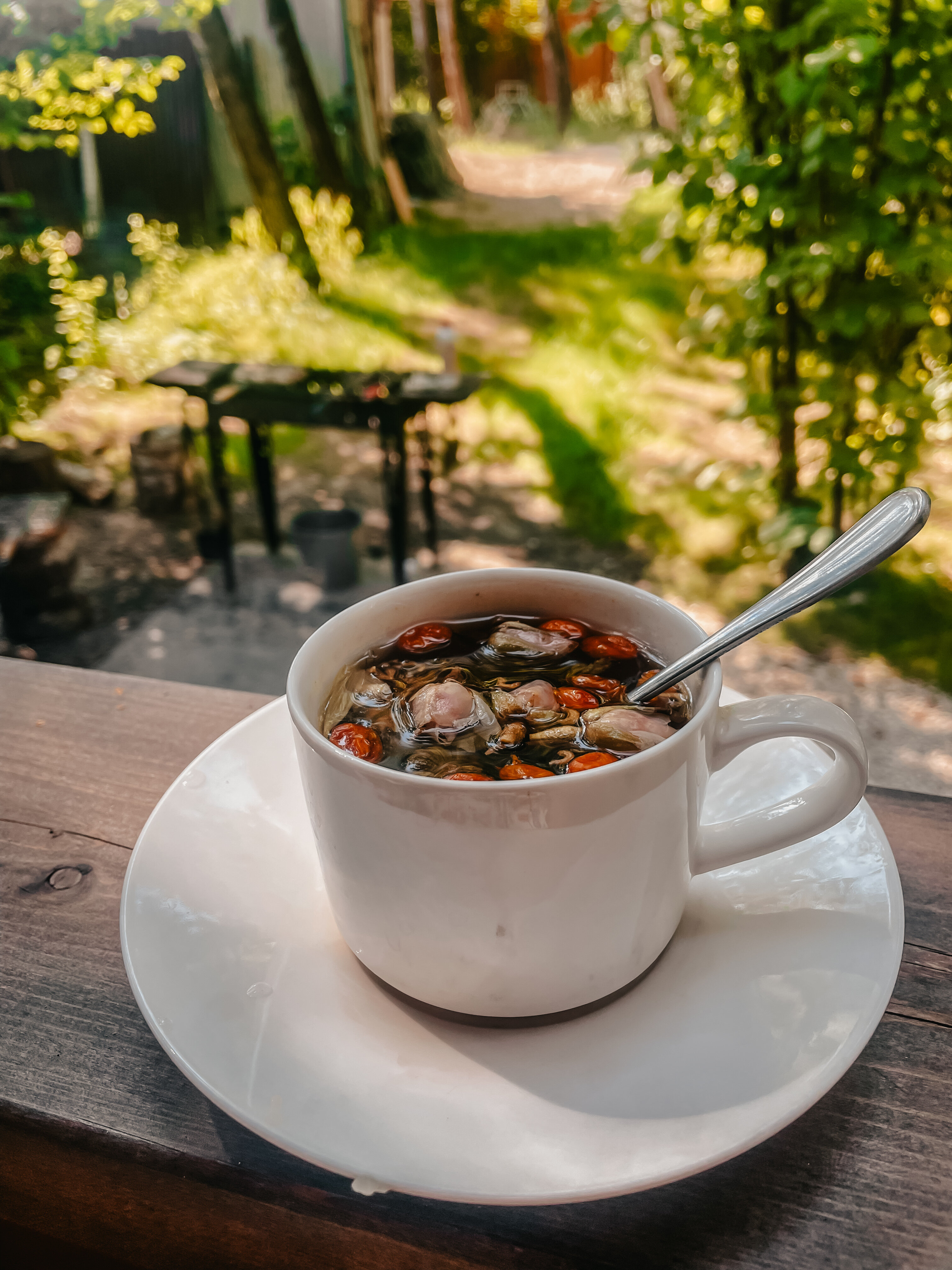 Фото Ореховая роща