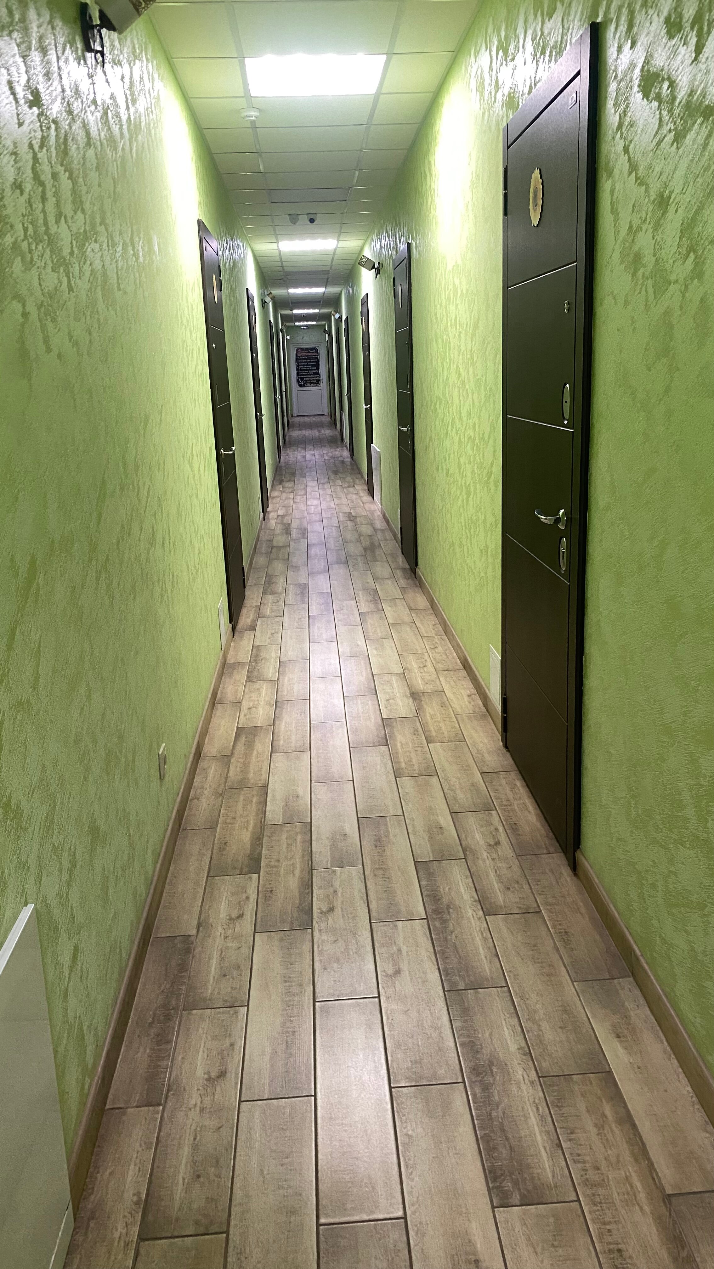 Фото Подсолнух