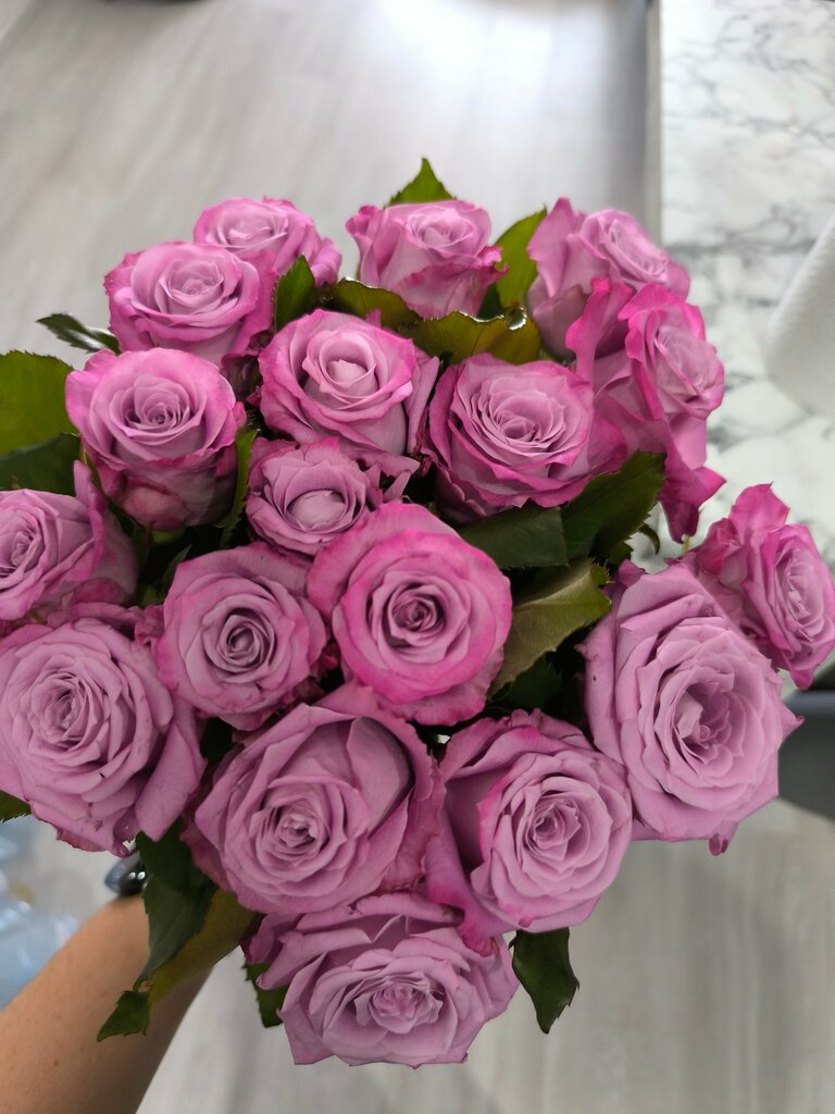 Елена Черкасова