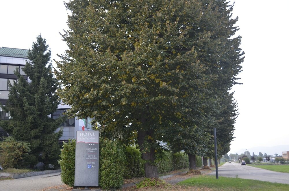 Фото Hotel Cavalieri Pinerolo