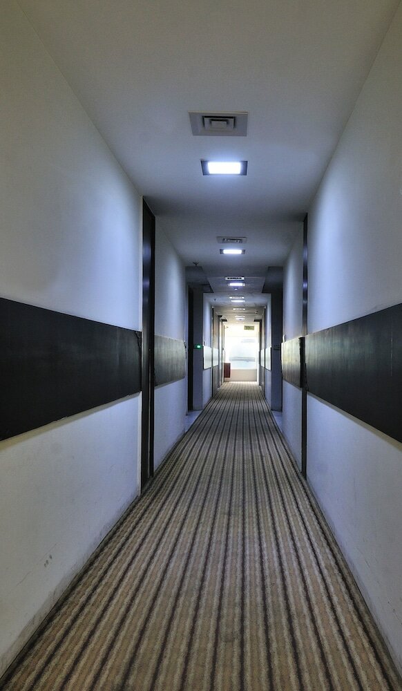 Фото Mapple Express