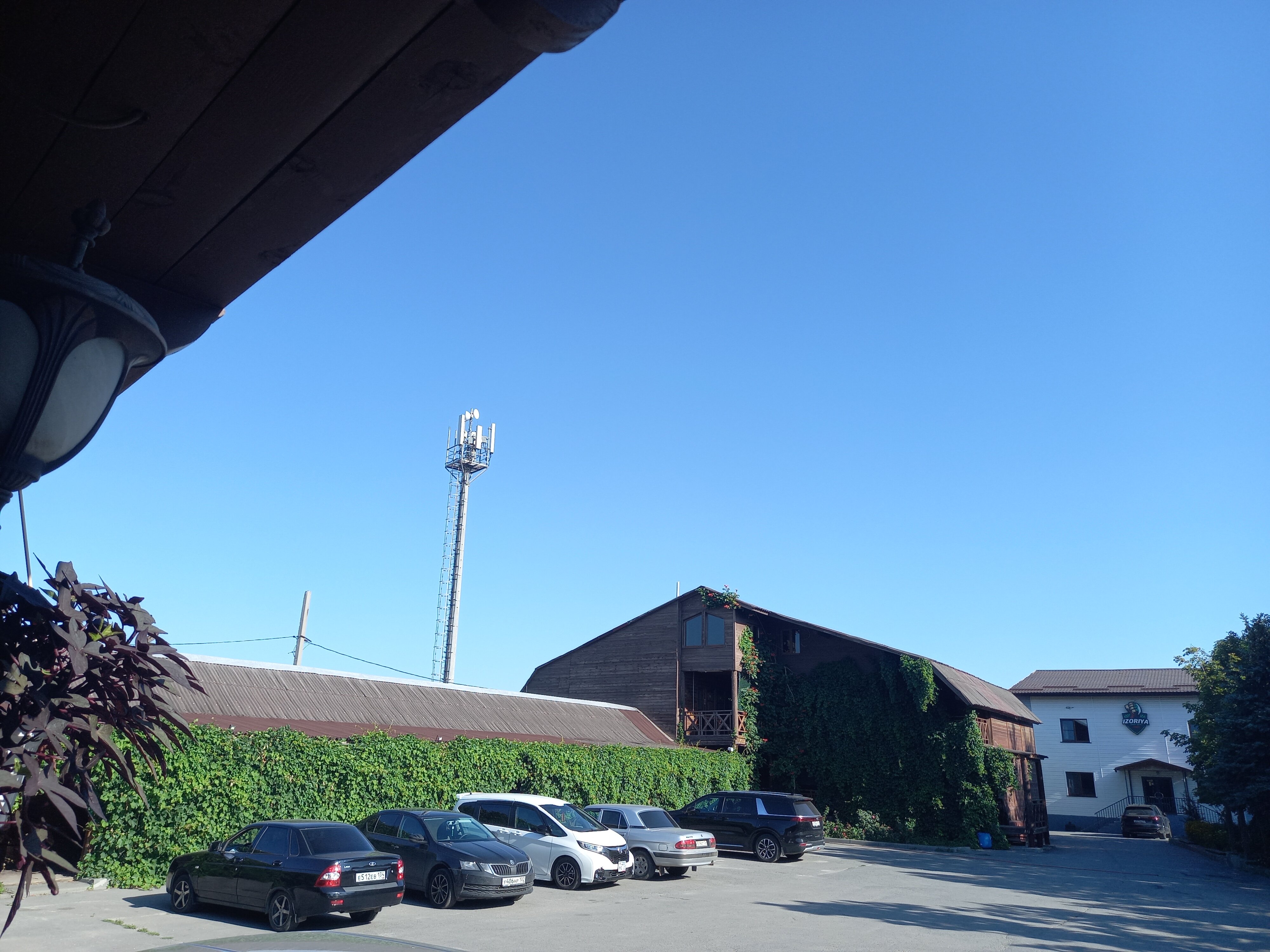 Фото Надежда