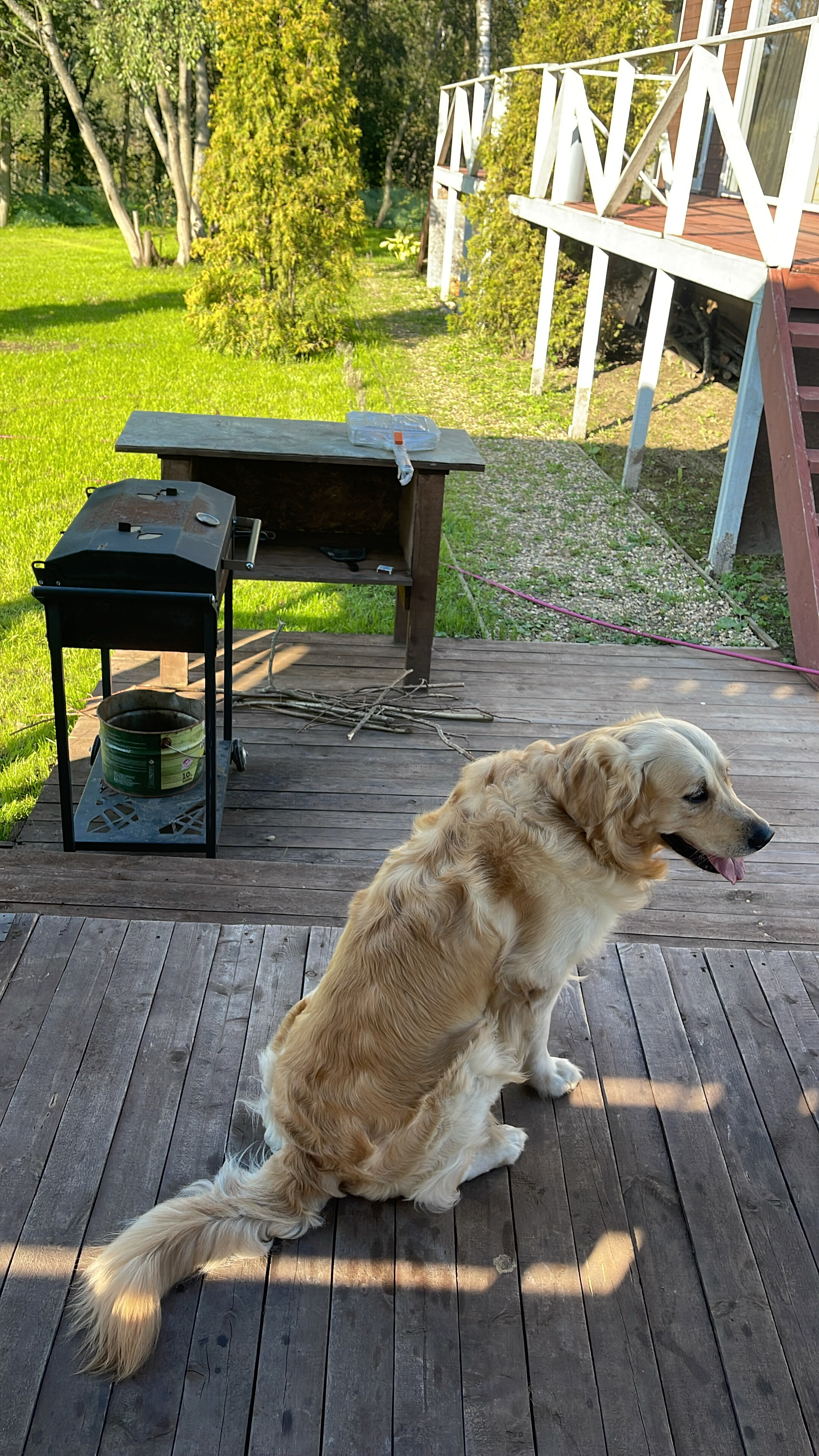 Фото Спасс-Торбеево