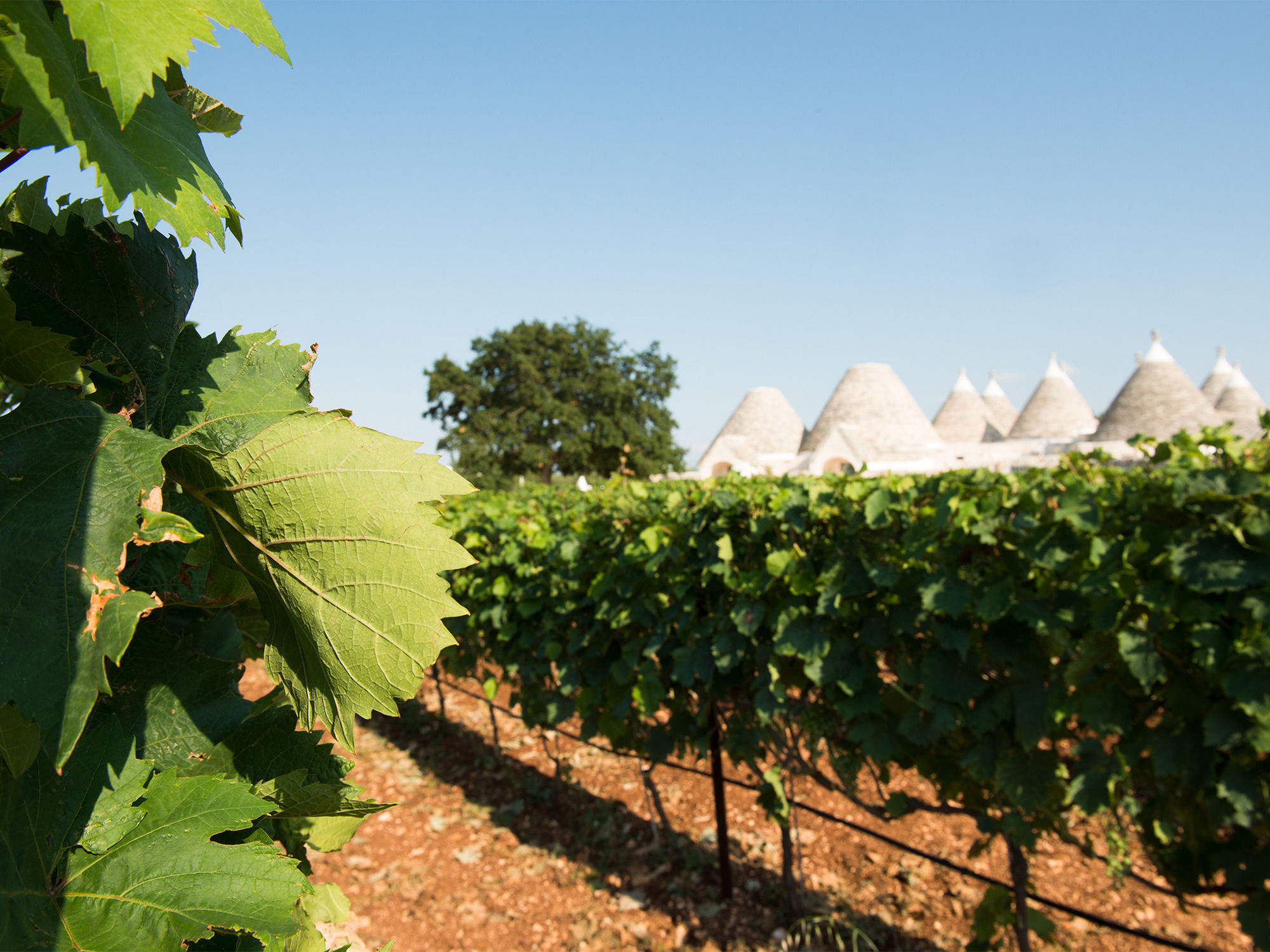 Фото Nina Trulli Resort